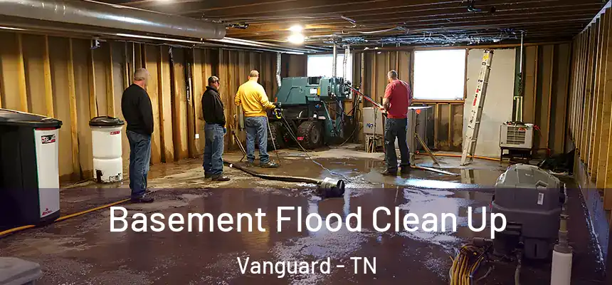  Basement Flood Clean Up Vanguard - TN
