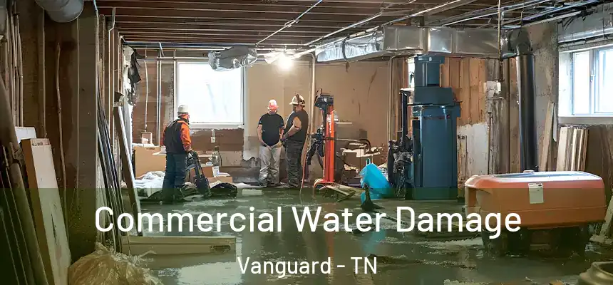  Commercial Water Damage Vanguard - TN