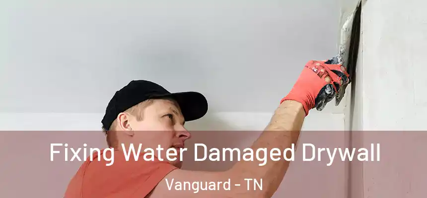  Fixing Water Damaged Drywall Vanguard - TN