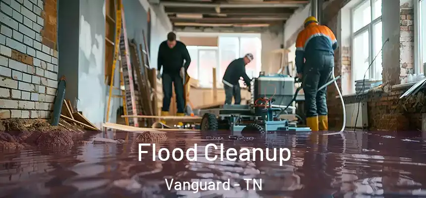  Flood Cleanup Vanguard - TN