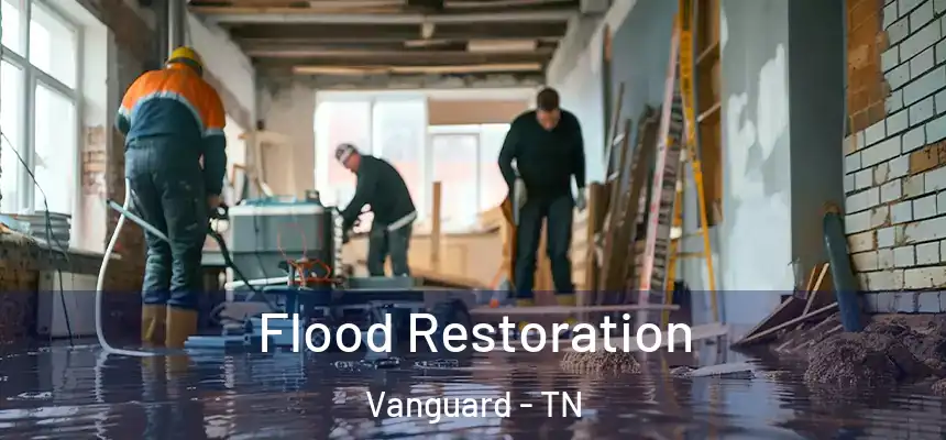  Flood Restoration Vanguard - TN