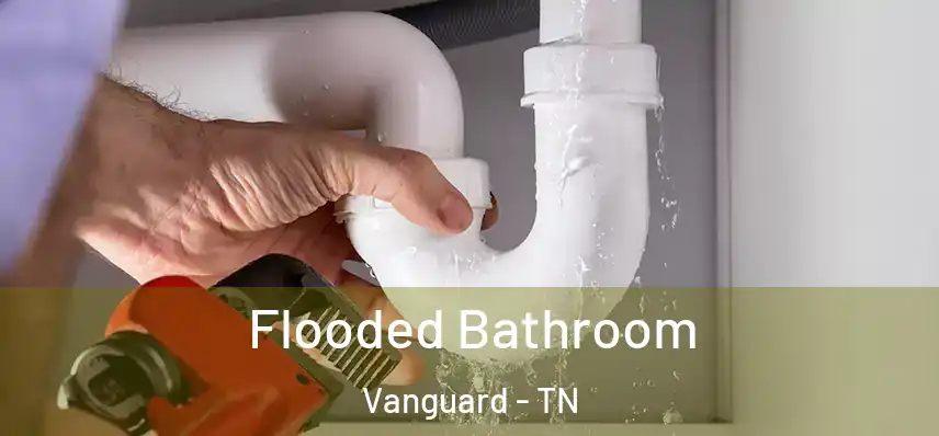  Flooded Bathroom Vanguard - TN