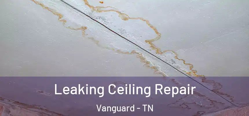  Leaking Ceiling Repair Vanguard - TN