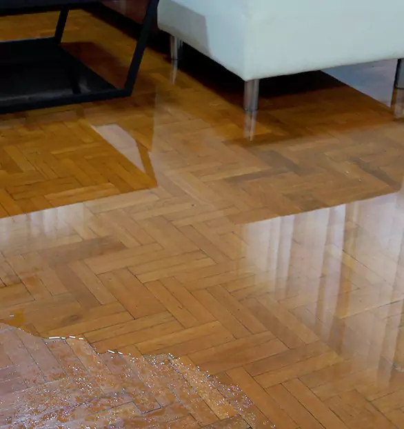 Trusted Emergency Water Restoration Company in Vanguard, TN