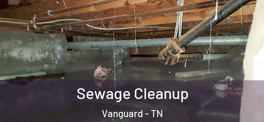  Sewage Cleanup Vanguard - TN
