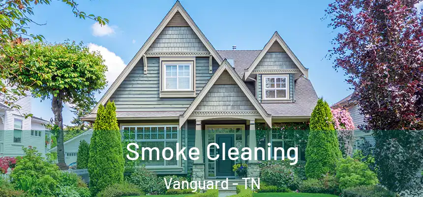  Smoke Cleaning Vanguard - TN