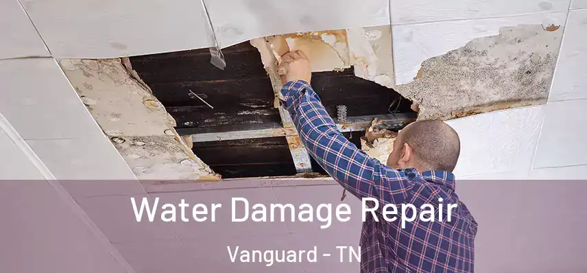  Water Damage Repair Vanguard - TN