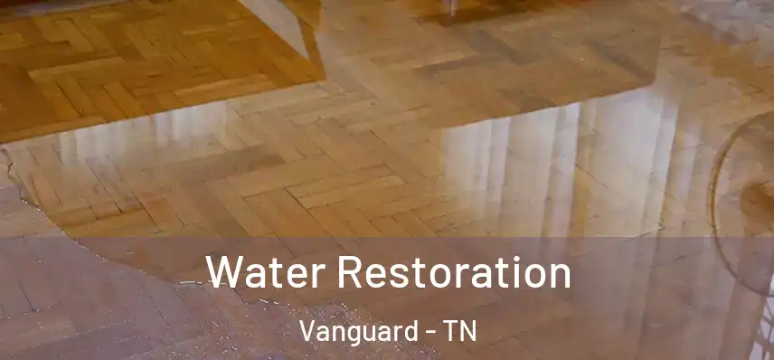  Water Restoration Vanguard - TN
